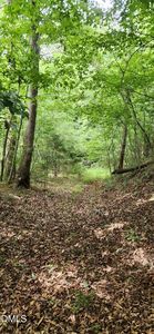0 Helena Moriah Rd Lot 1, Timberlake, NC, 27583