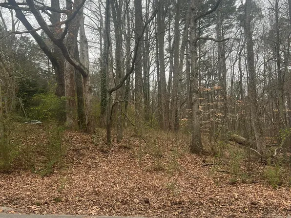 3400 Coles Creek Dr, Buford, GA 30519