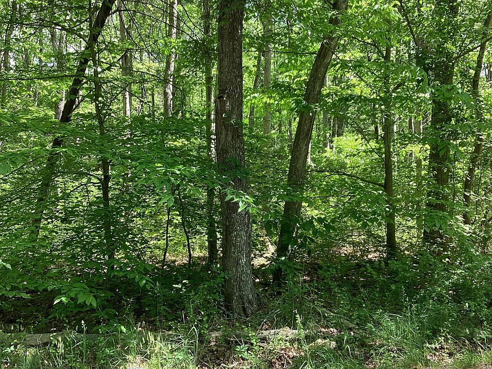 2nd image of 2127 Mount Olive Rd