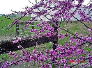 10384 N Perry Loop Rd, Stigler, OK 74462