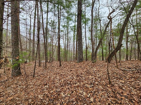 4th image of LOT 1665 Hunter Dr