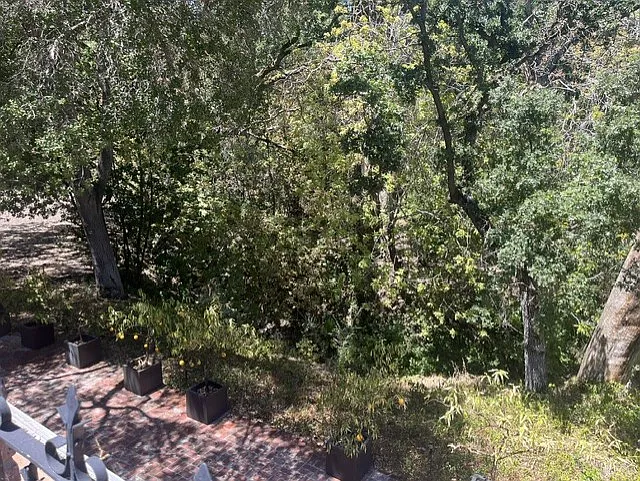 2340 Tice Valley Blvd — Photo 25