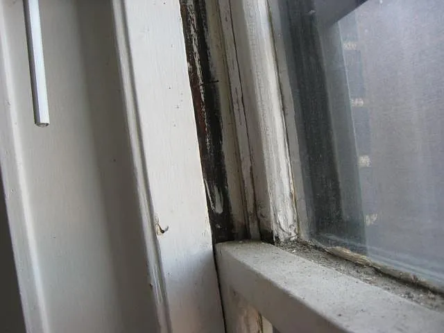 Commonwealth Ave — Photo 5