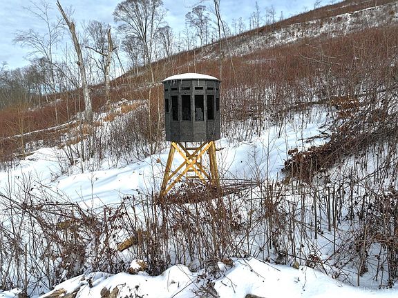 3rd image of 357 Enley Rd