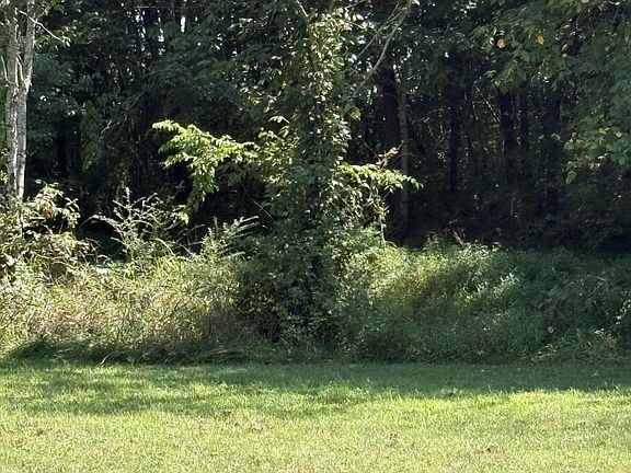 2nd image of 0 John Kirkland Rd Lot 2