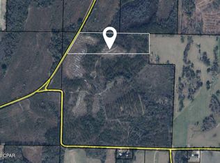 Xxx Piano Rd, Graceville, FL 32440