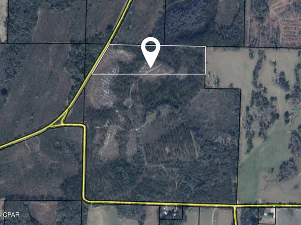 Xxx Piano Rd, Graceville, FL 32440