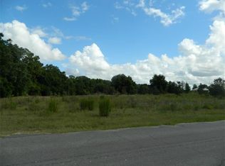 16051 SE 156th Place Rd, Weirsdale, FL 32195