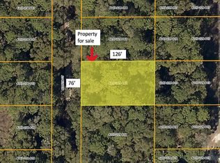 SE 35th Ct, Summerfield, FL 34491