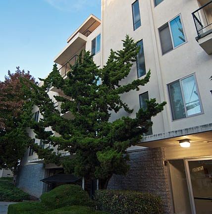 4th image of 2535 College Ave APT 402