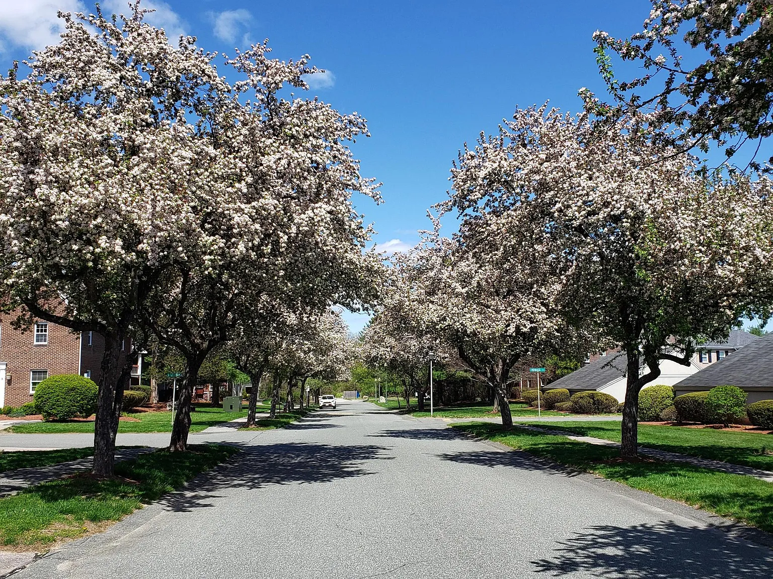 2 bed, 1350 sqft, $3,200 — Photo 3