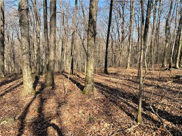 1 Highway 23, Huntsville, AR 72740