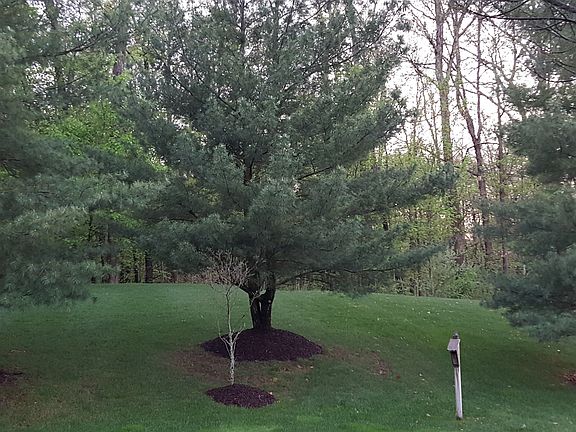 5th image of 2663 Atwater Hills Dr NE