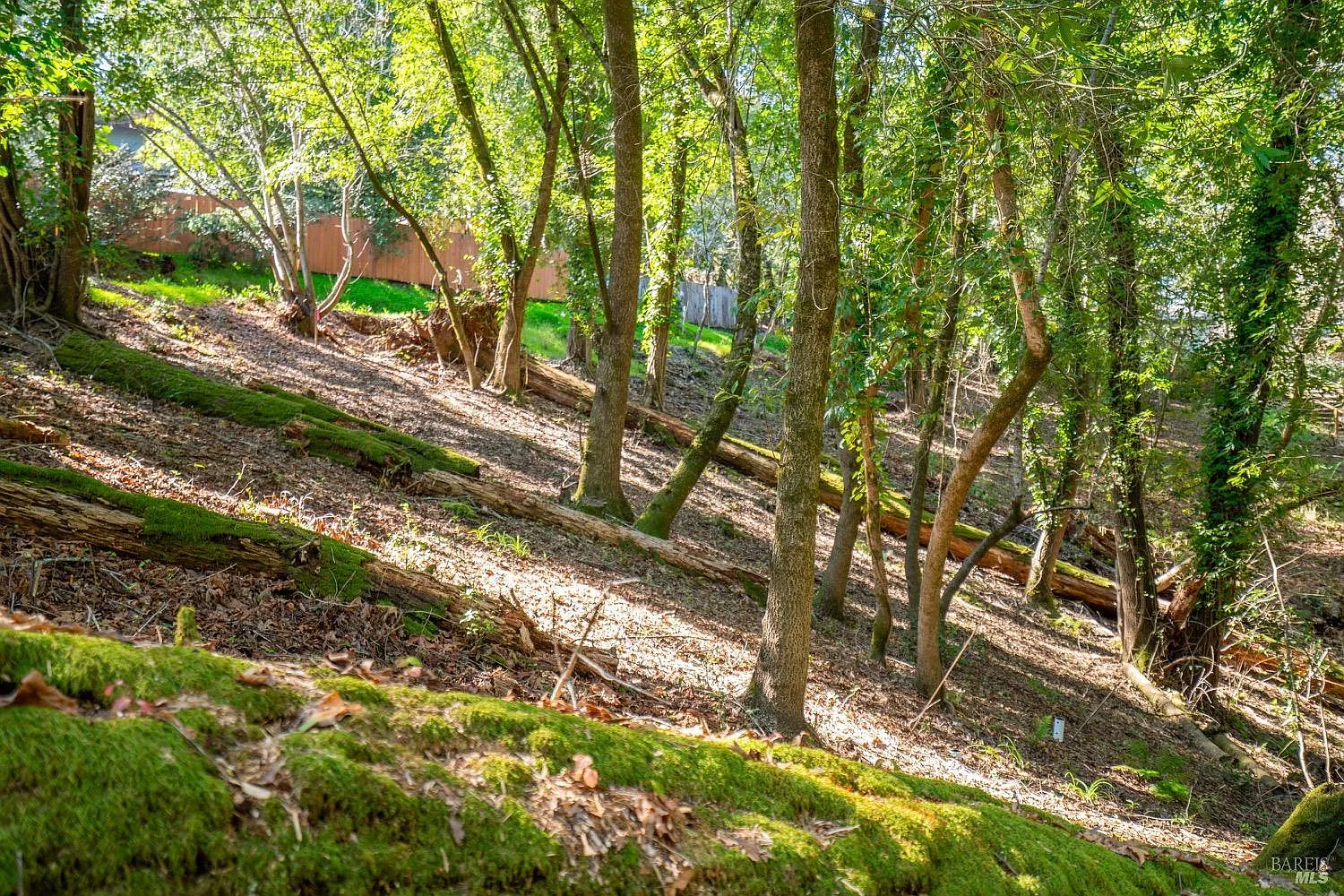 10612 Canyon Road - Photo 9