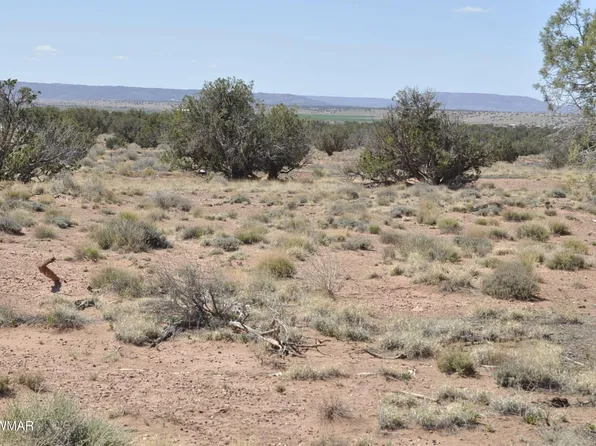 29A County Road 9080 N, Concho, AZ 85924