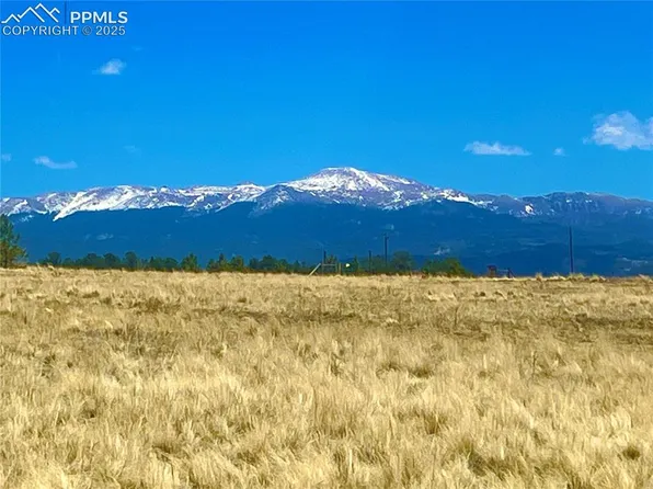 90 Meadow Ln, Guffey, CO 80820