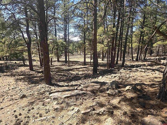 2nd image of 96 Woodridge Circle