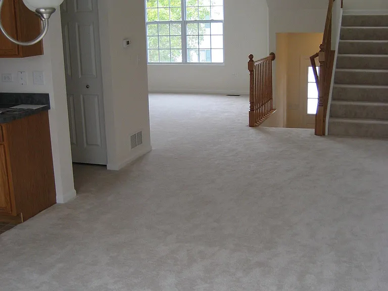 928 Charlton Ln — Photo 9