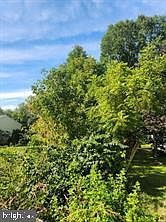 1st image of 0 Days Mill Rd