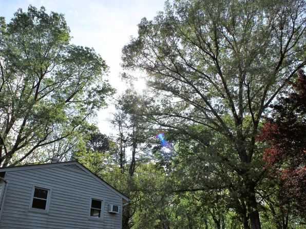 0 Pera Rd, Monroe, VA 24574