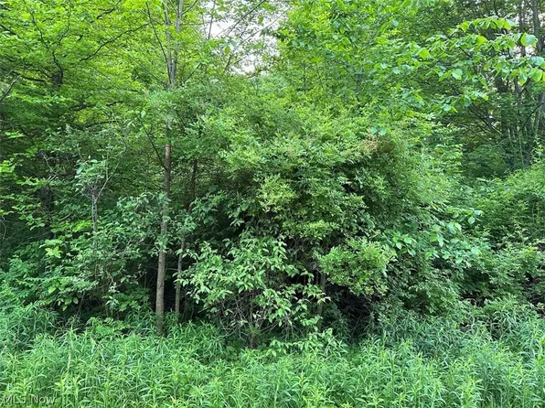 Middle Rd, Conneaut, OH 44030