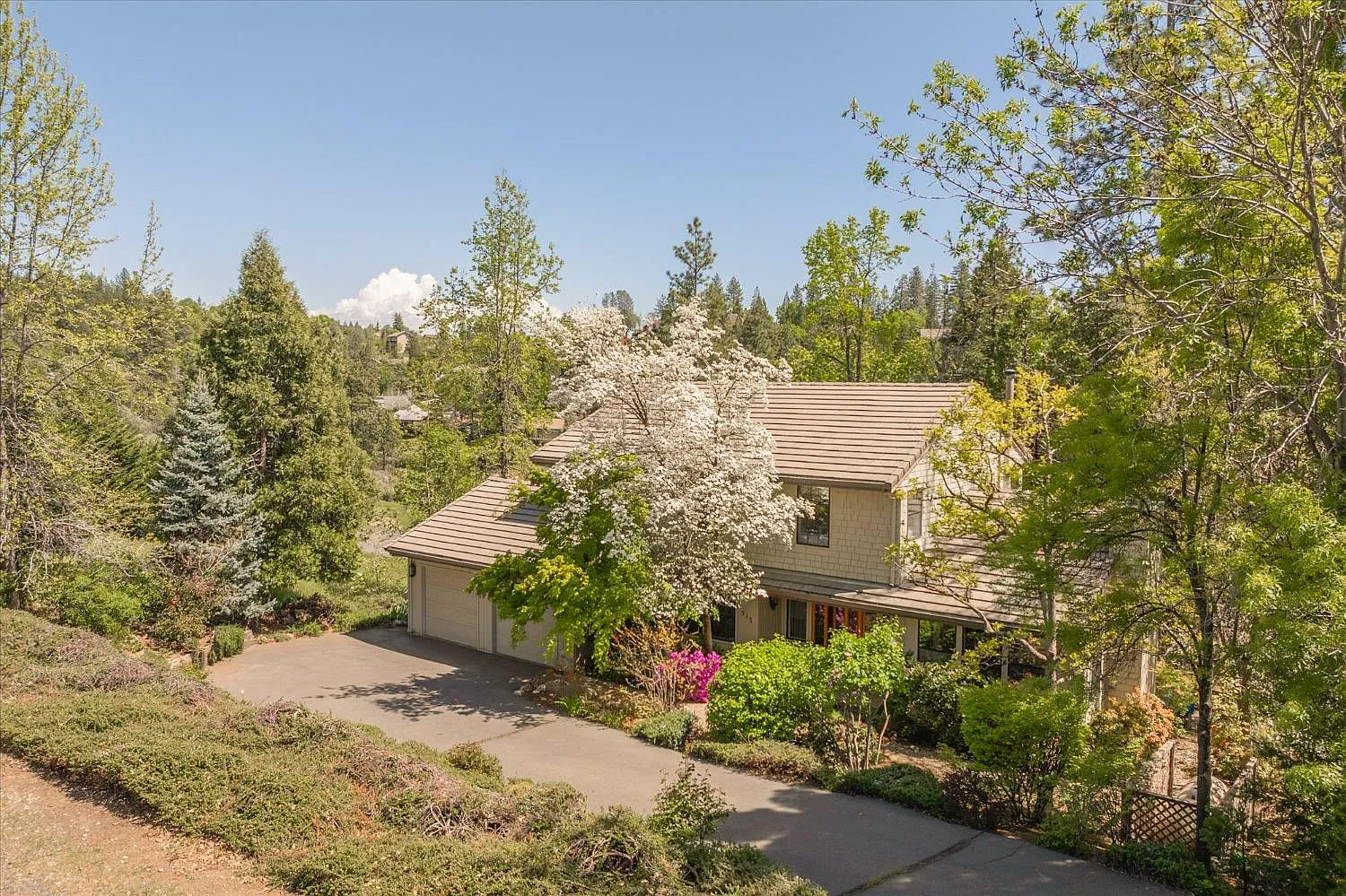 517 Forest Meadows Dr photo 1