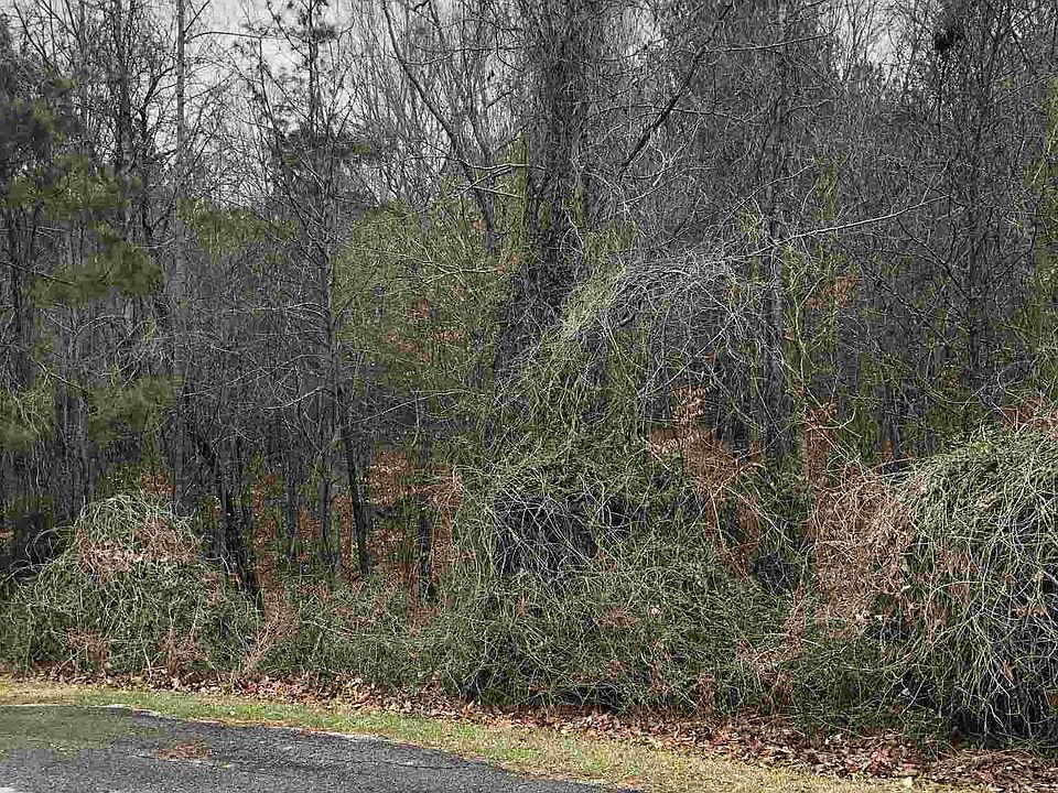 2nd image of 180 Andrew Ct