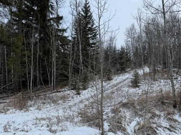 514 Clearwater Estates Cres, Rural County, AB T4T 2A2