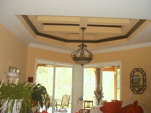 Tray Ceil/Solarium