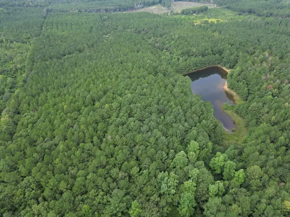 0 County Road 101, Jack, AL 36346