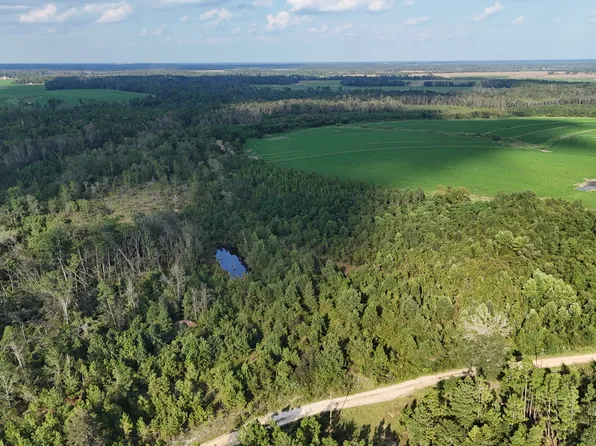 3 Rhonda Coleman Rd, Hazlehurst, GA 31539