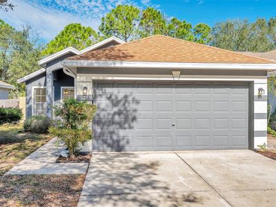 7459 Oxford Garden Cir, Apollo Beach, FL, 33572