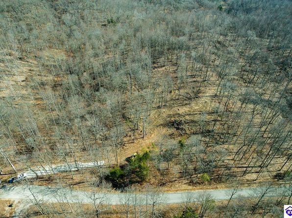Frenchman Knob Rd, Munfordville, KY 42765