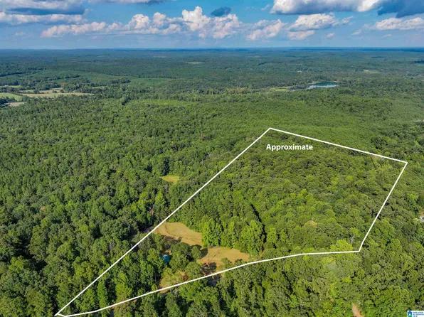 11840 N Scottsville Rd #11840, West Blocton, AL 35184