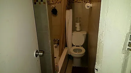 Rented by Evergreen Apartments BK