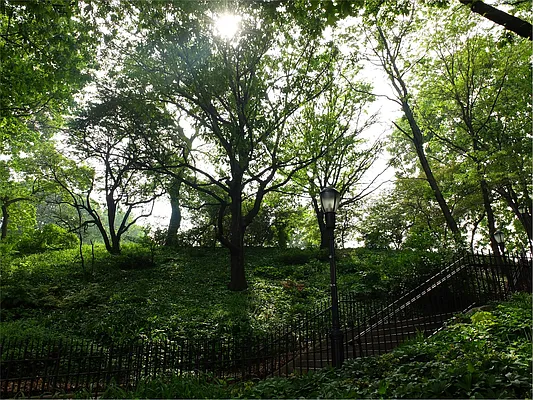 Sold by Douglas Elliman | media 13