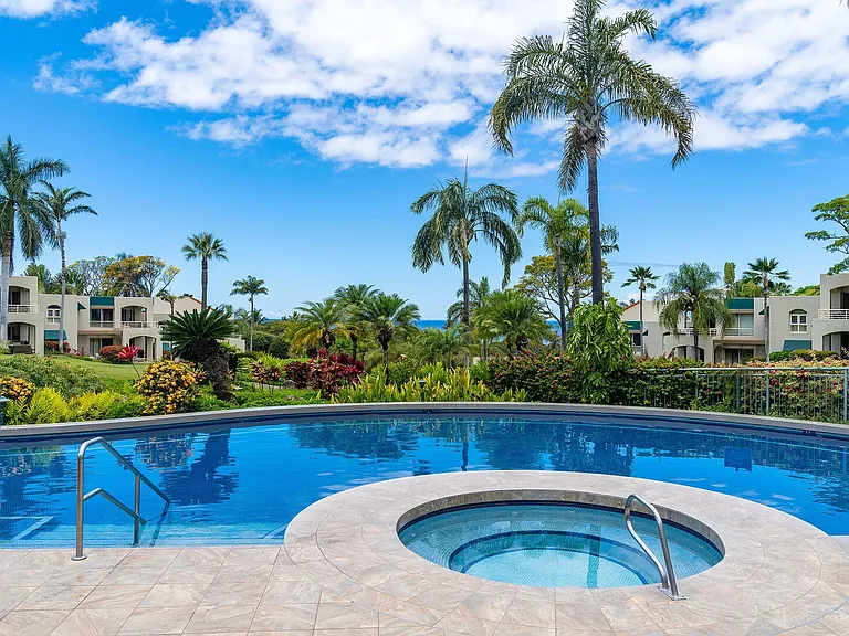 Wailea Alanui Dr — Photo 31