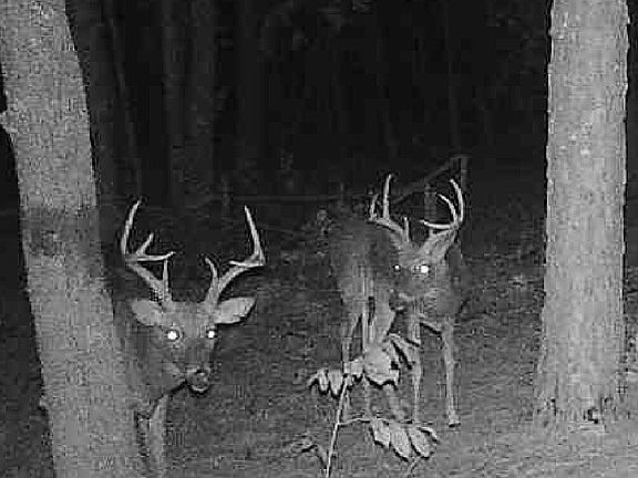 2nd image of 0 Joe Anthony Rd