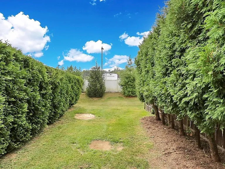 678 Walnut Tree Dr — Photo 24