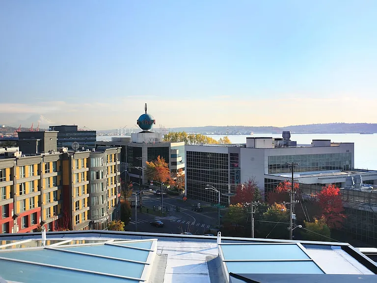 Views from Community