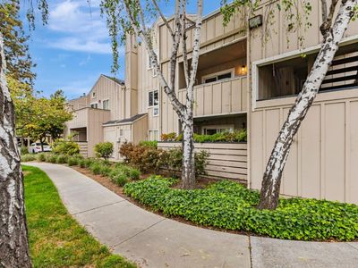 57 Monte Verano Ct, San Jose, CA, 95116