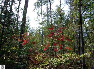 0 E Peters Rd, Hale, MI 48739