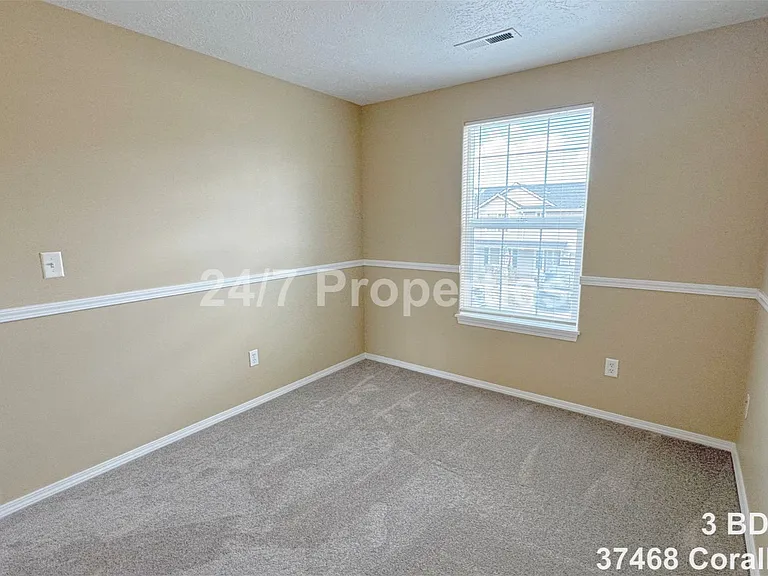 37468 Coralburst St — Photo 10