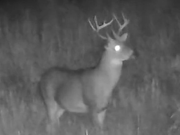 5th image of 0 Madison 244/county Rd #224