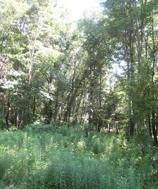 1st image of County Road 500 E