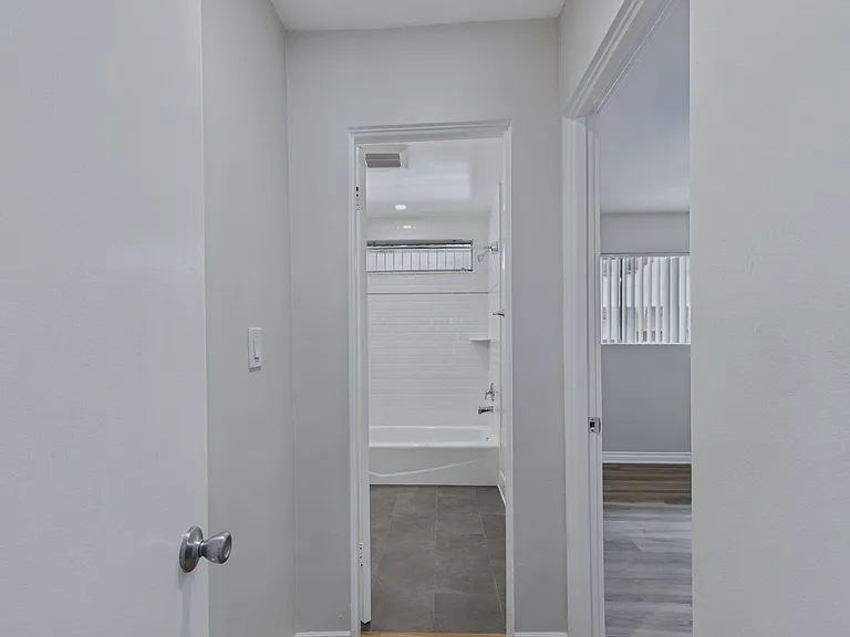 elm142 — Photo 11