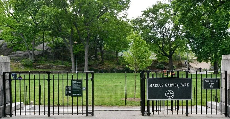 Rented by Bold New York | media 15