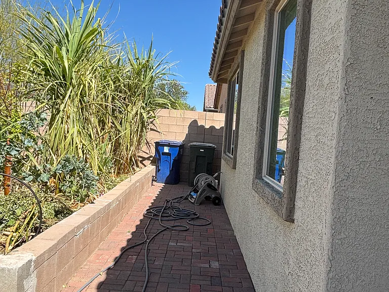 Manicured Back Yard