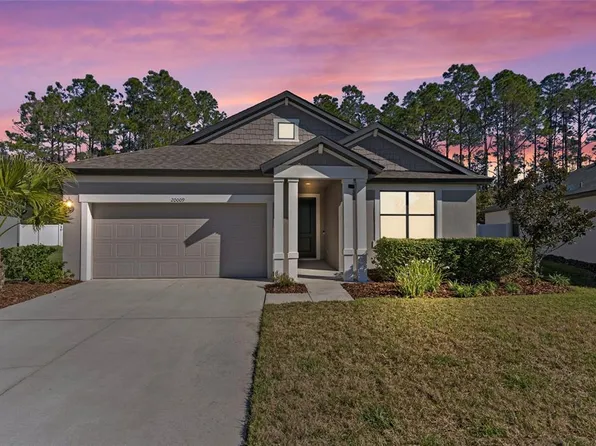 20009 Hidden Glen Dr, Land O Lakes, FL 34638