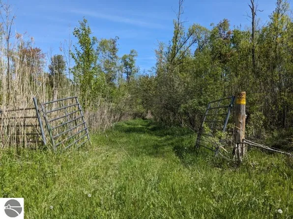 0 Whittemore Rd, Whittemore, MI 48770